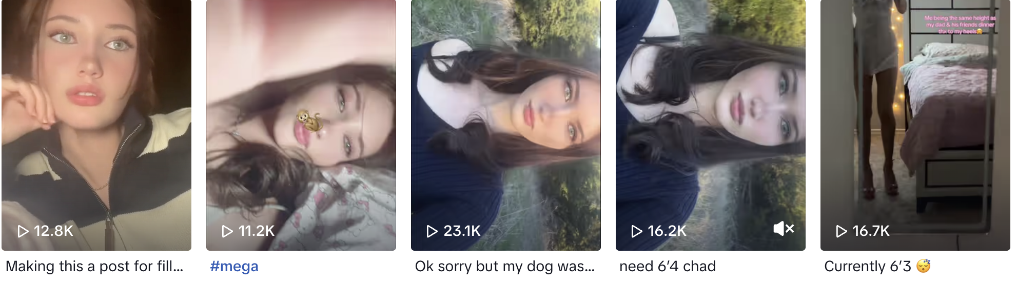 1709229049806