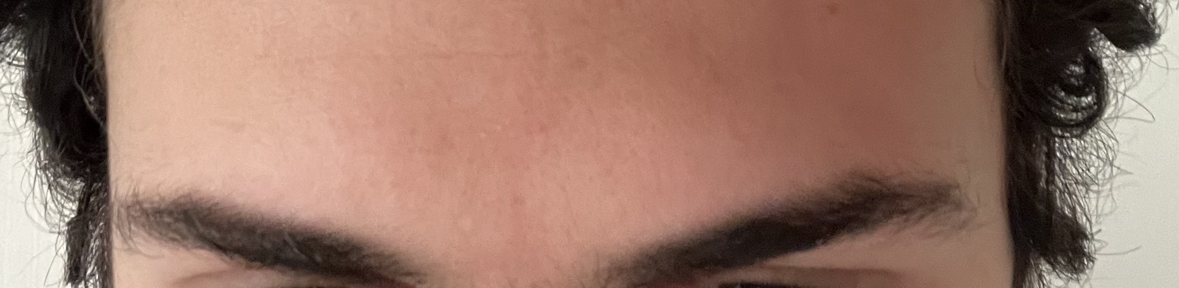 IMG 0045