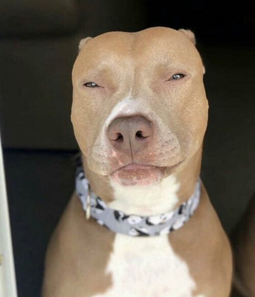 33EF599E 3ADD 422C 9151 179EB9F80994