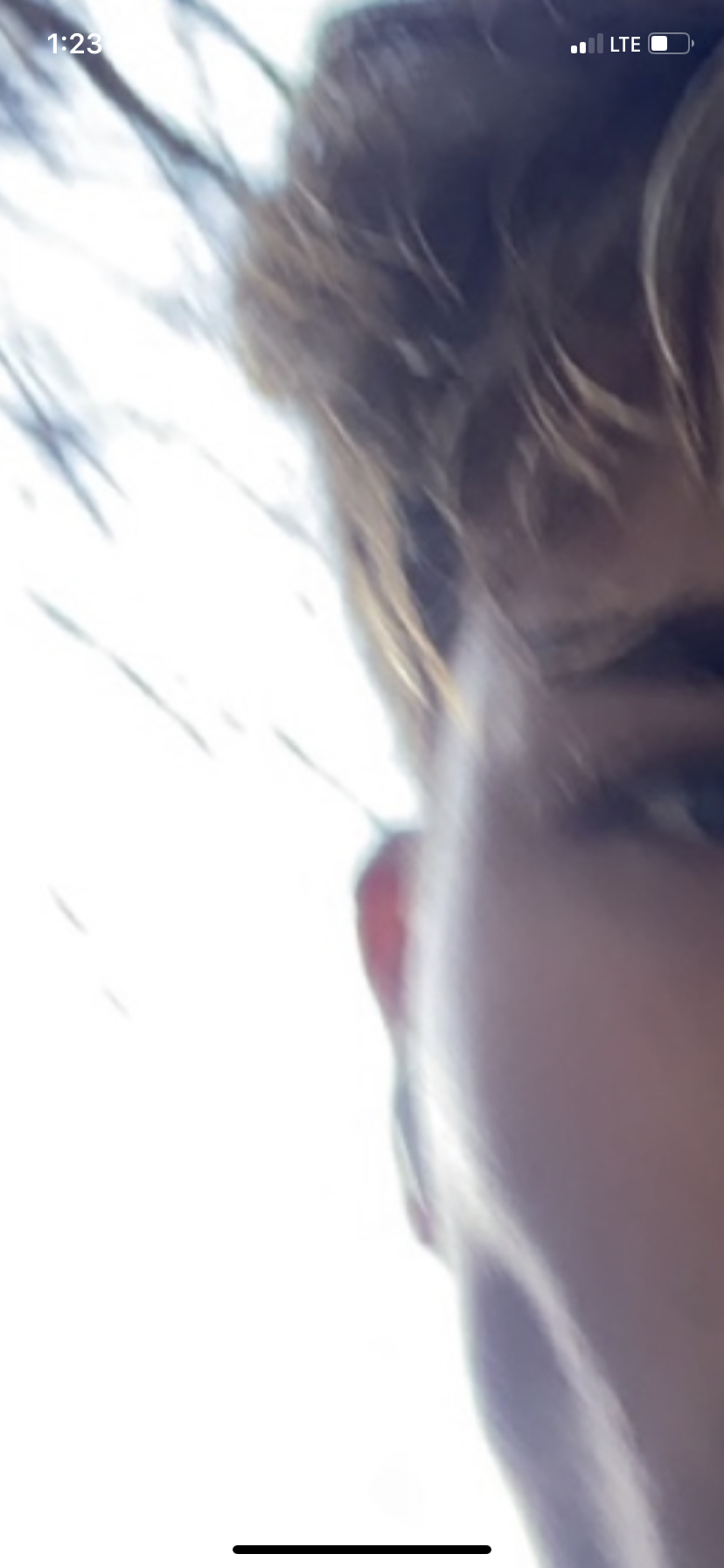 1709335183412