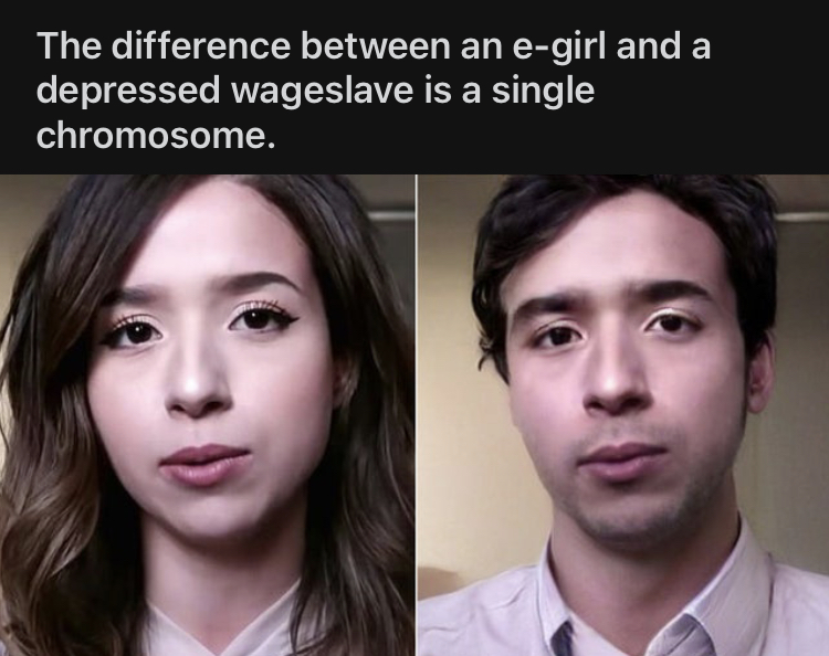 A single chromosome