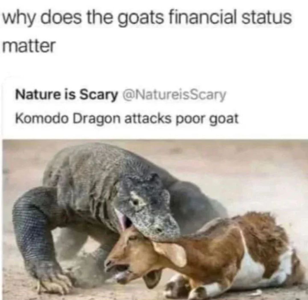 20240303 161524