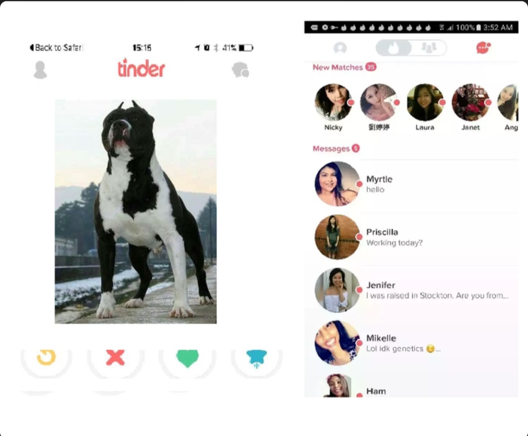 Screenshot 20240220 082753 Chrome