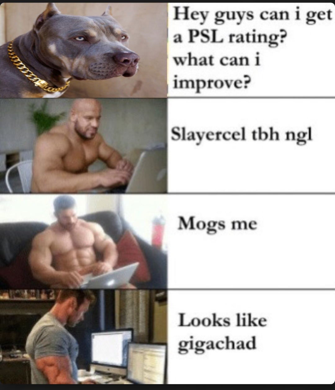 Screenshot 20240220 082608 Chrome