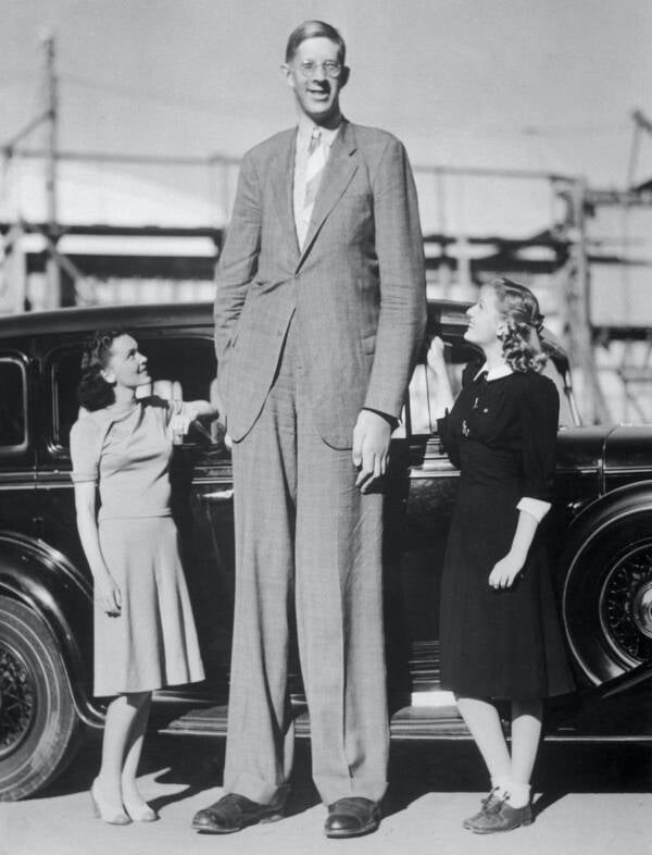 Robert wadlow with actresses