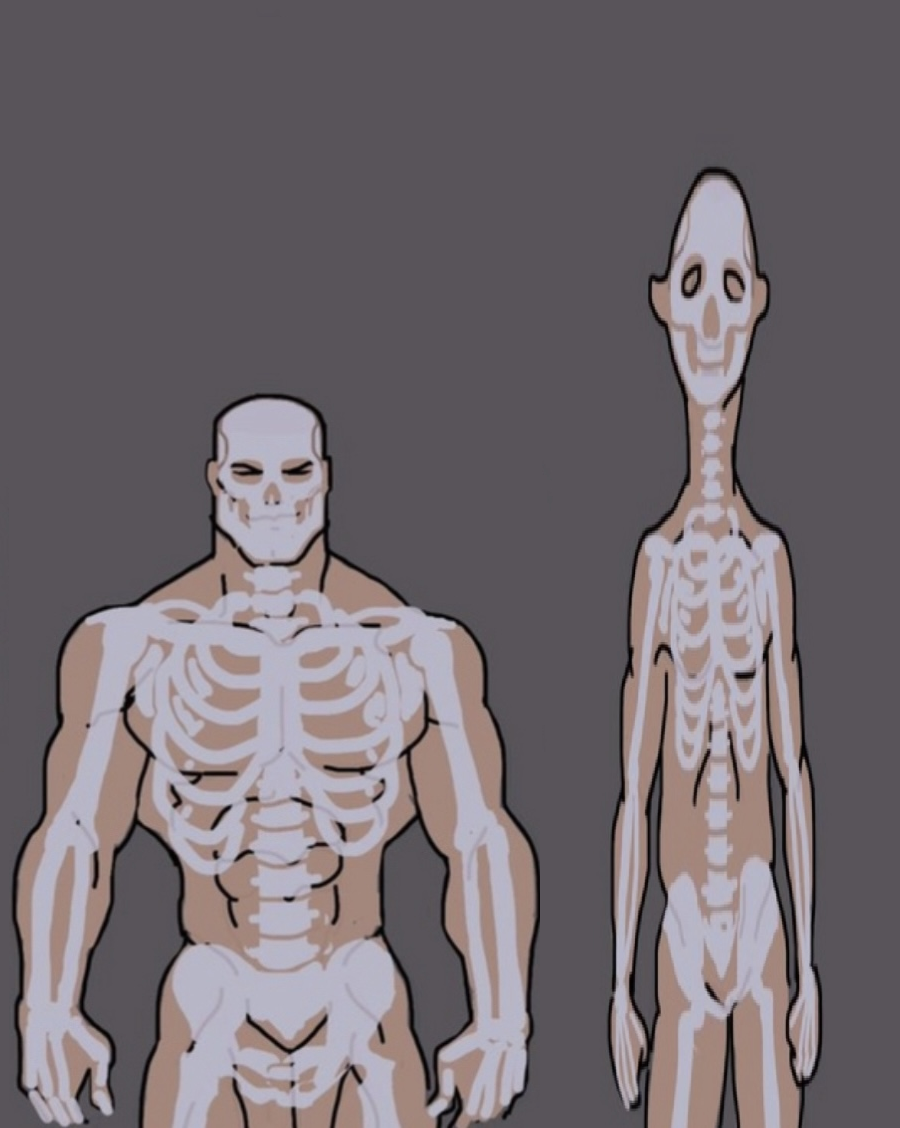 Who is calling you a manlet