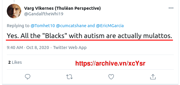 Yesallblackswithautismaremulattos