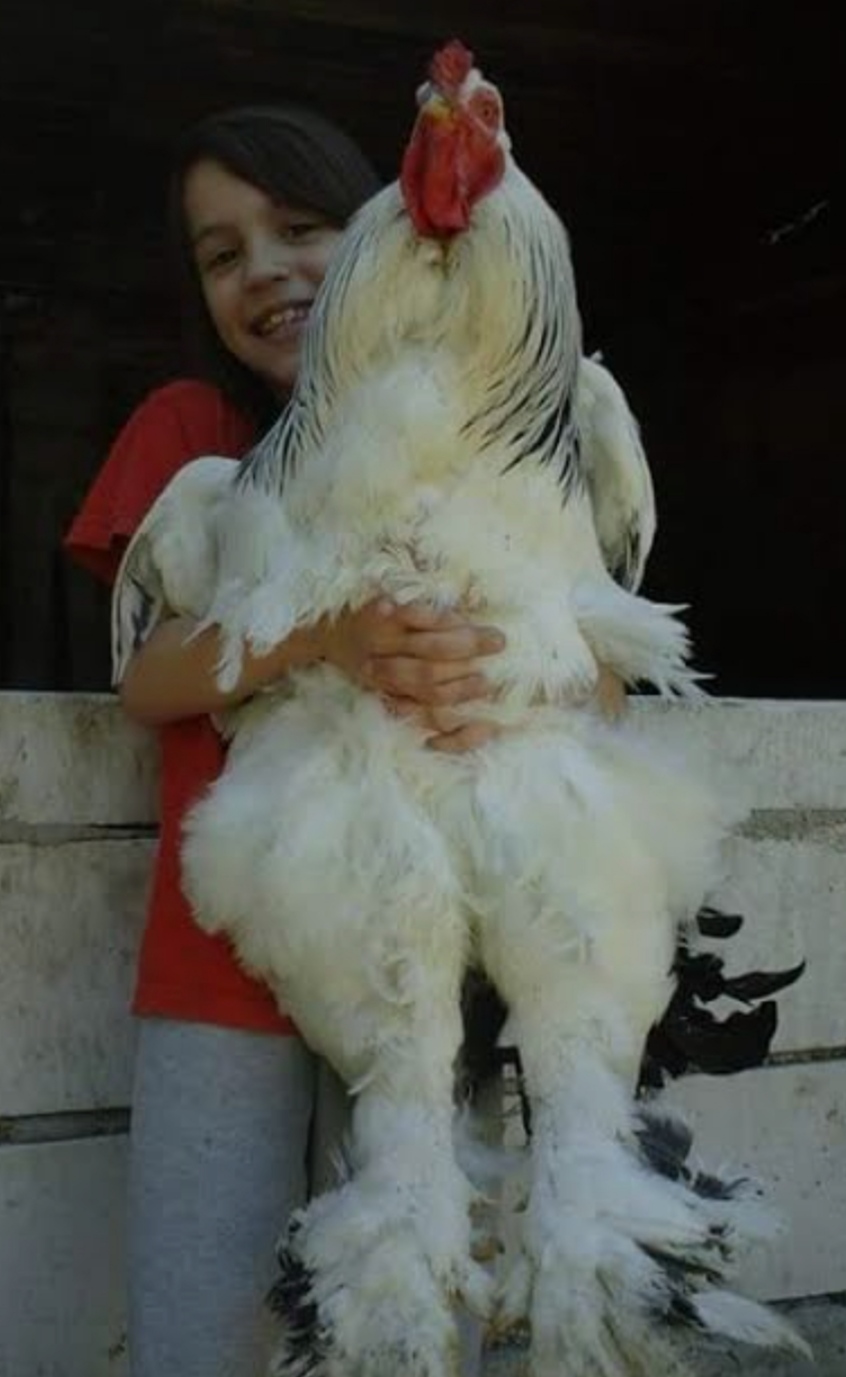 IMG 20240308 015225