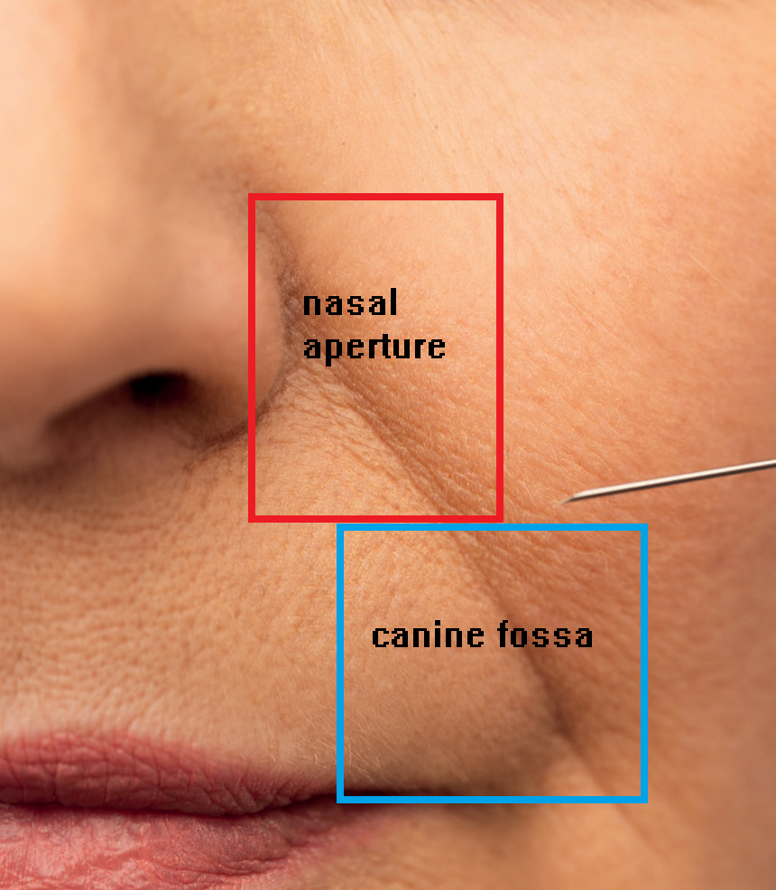 3595070 1692263333216