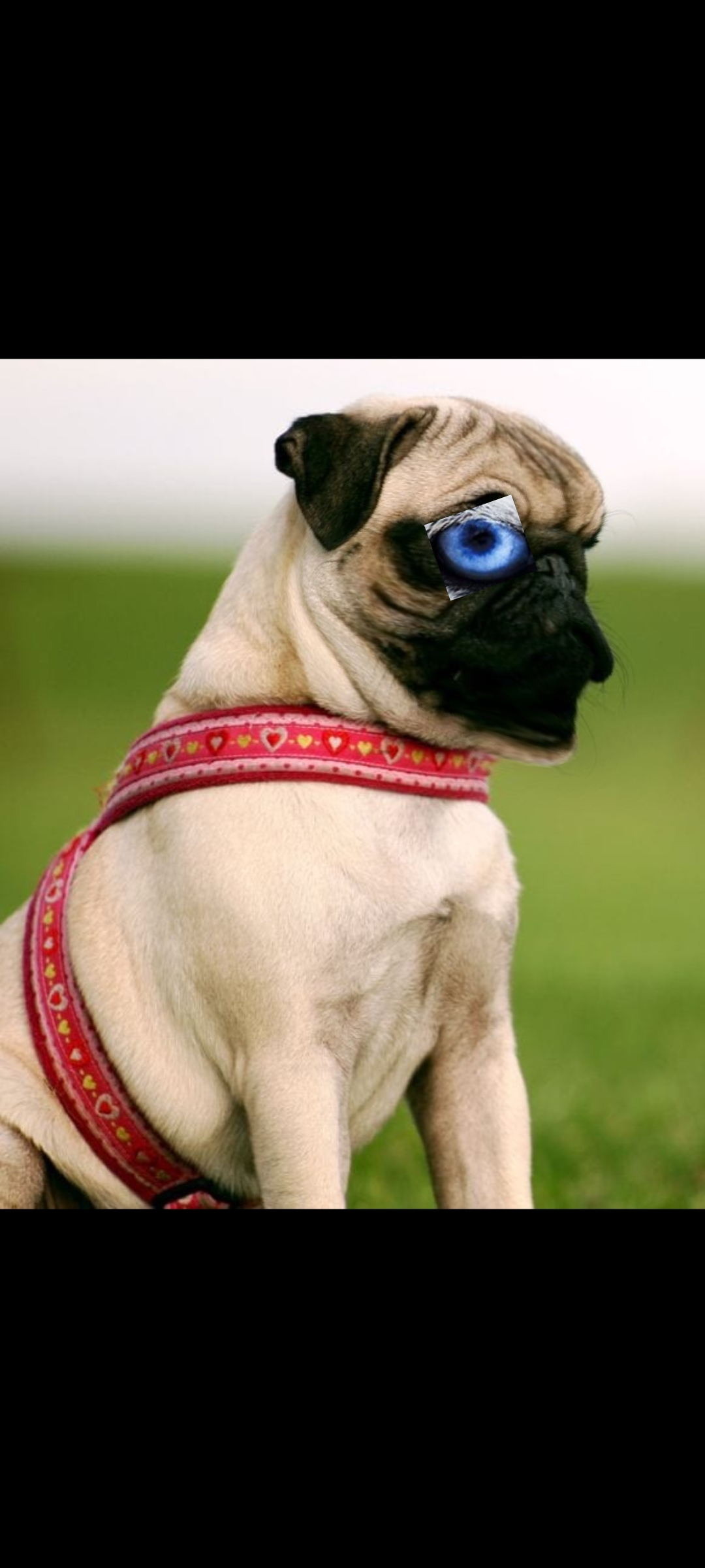 Polish 20240308 202022861