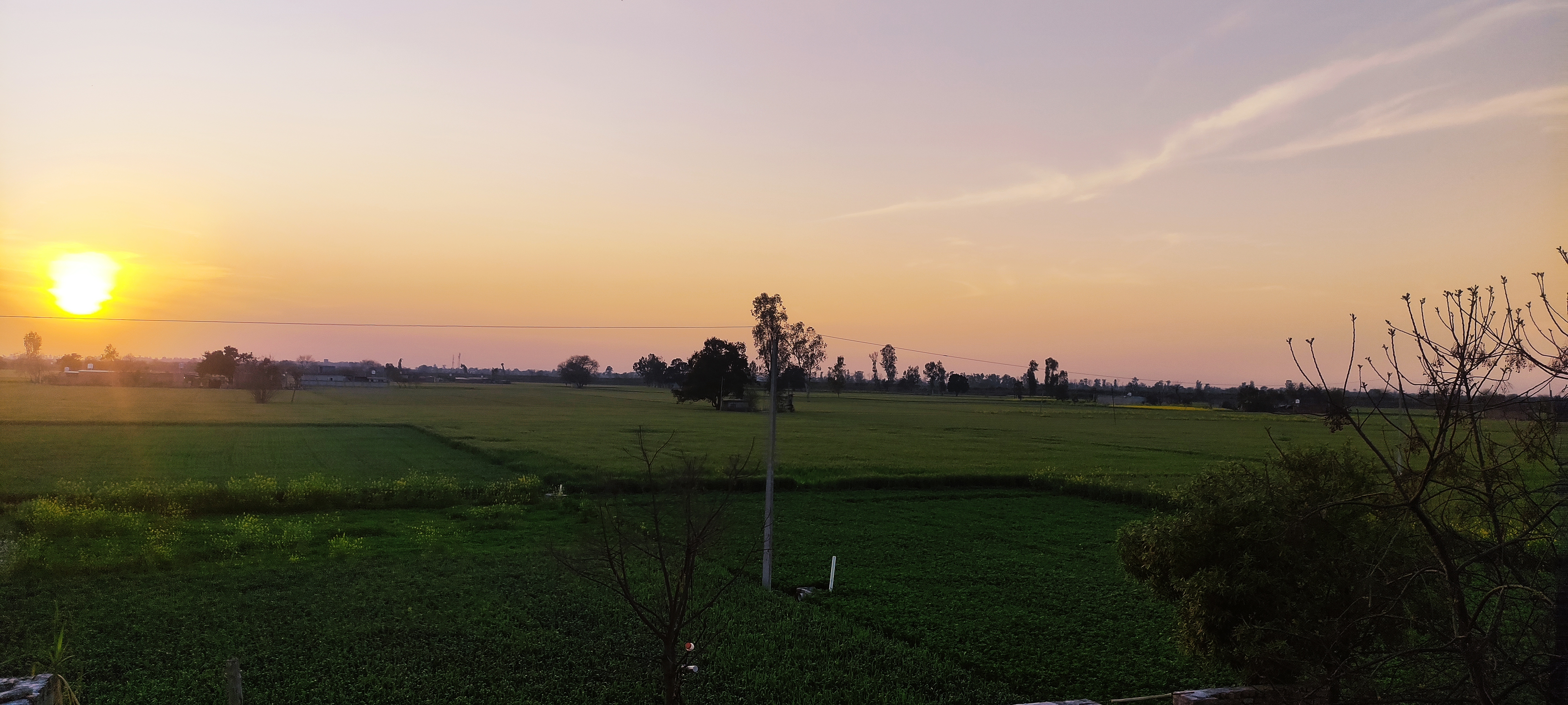 IMG 20240309 182000