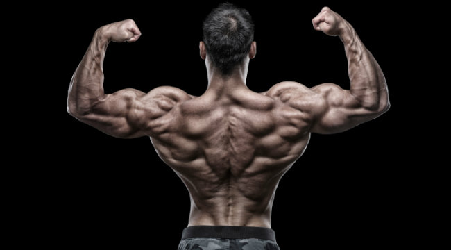 Backflex