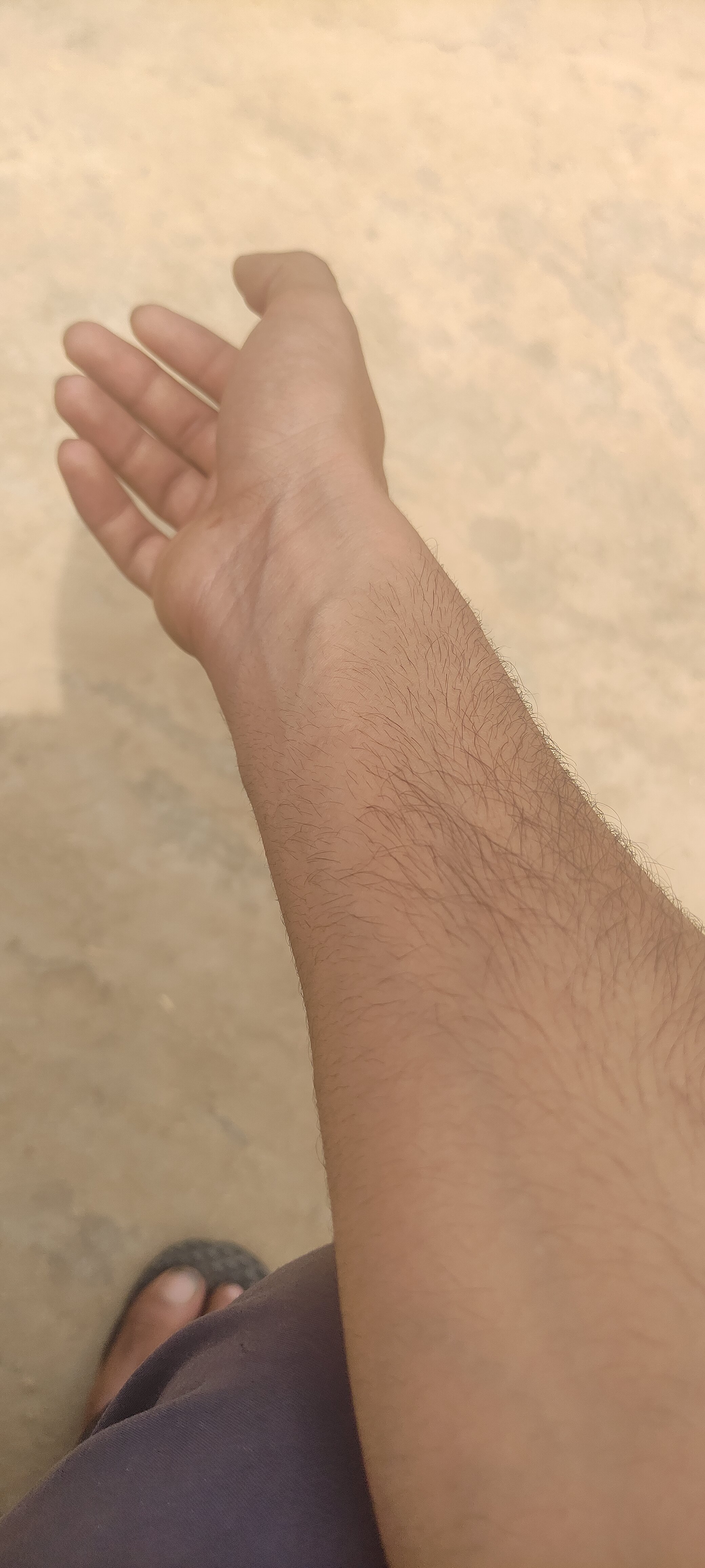 IMG 20240310 125444