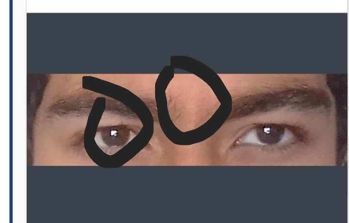 Screenshot 20240312 013112 Chrome