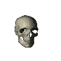 1000044240