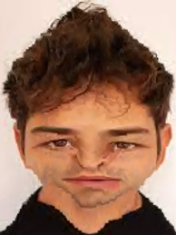 1710353733823