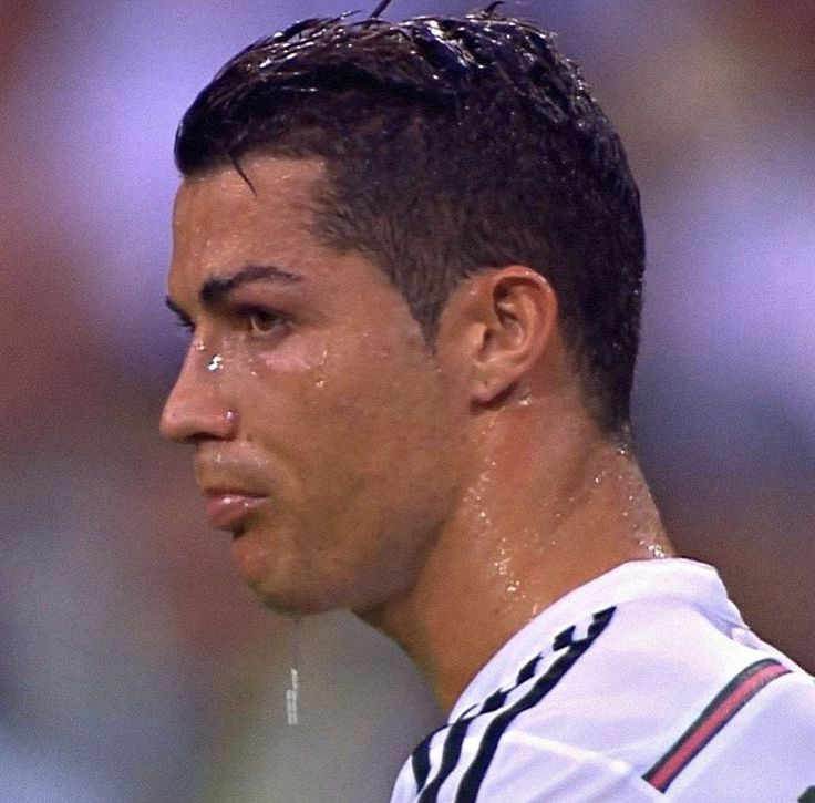 A782cb6368f7443dea2a3d533fa0a176