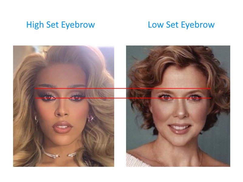 High set vs low set eye brows