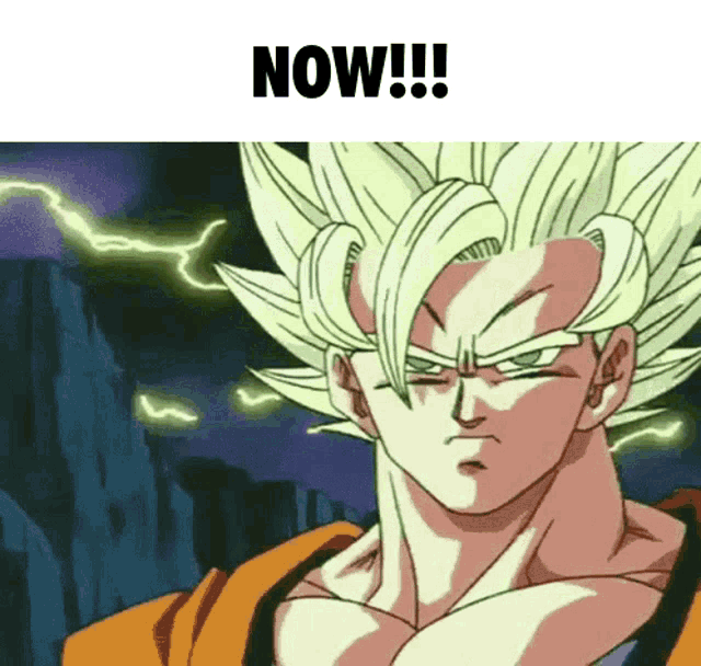 Goku ltg