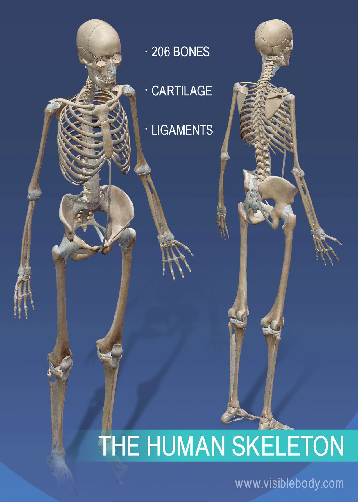 1710510269557