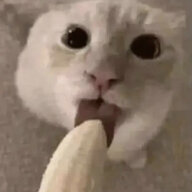 1710546815489