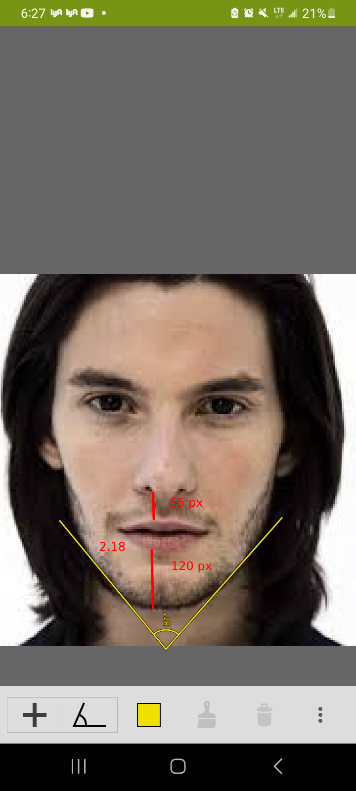 Chintophiltrm