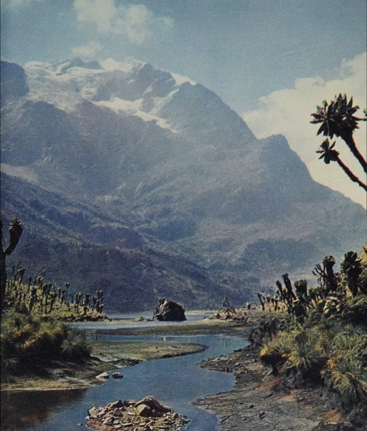 IMG 0735