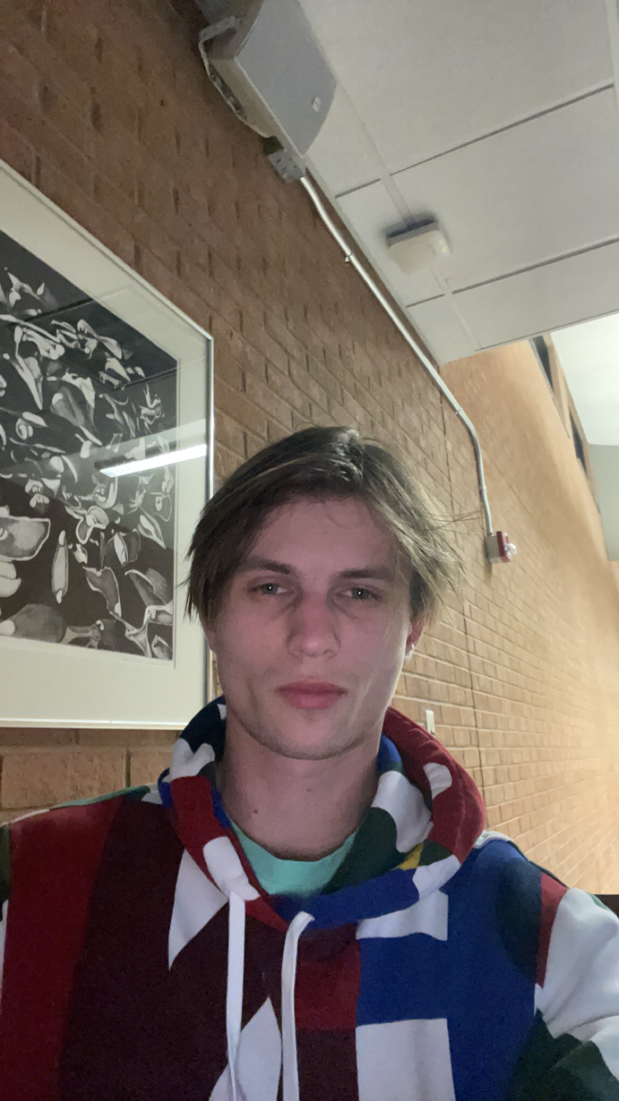 IMG 0739