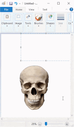 RDT 20231215 0145417431918820433834144