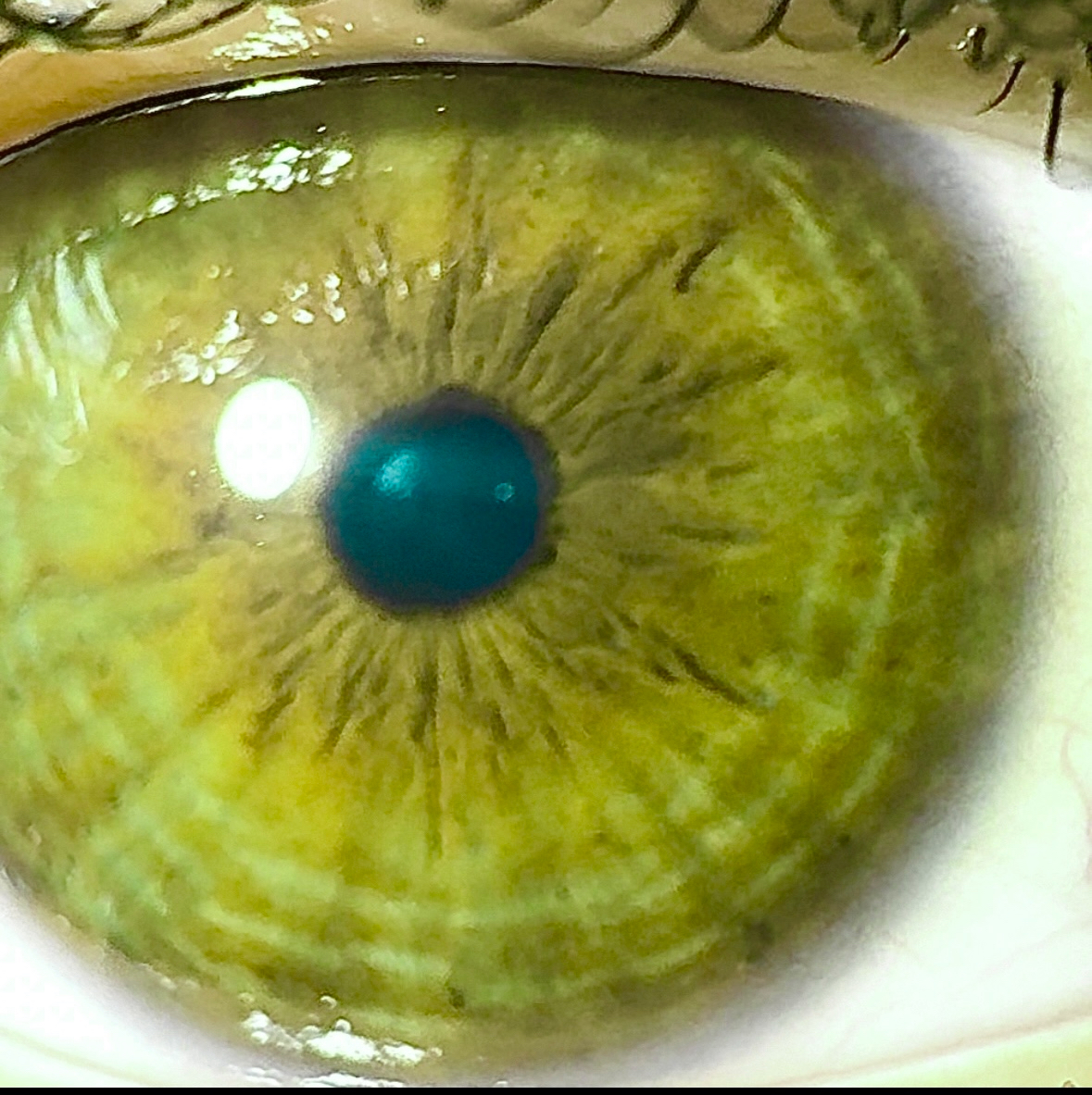 IMG 1445