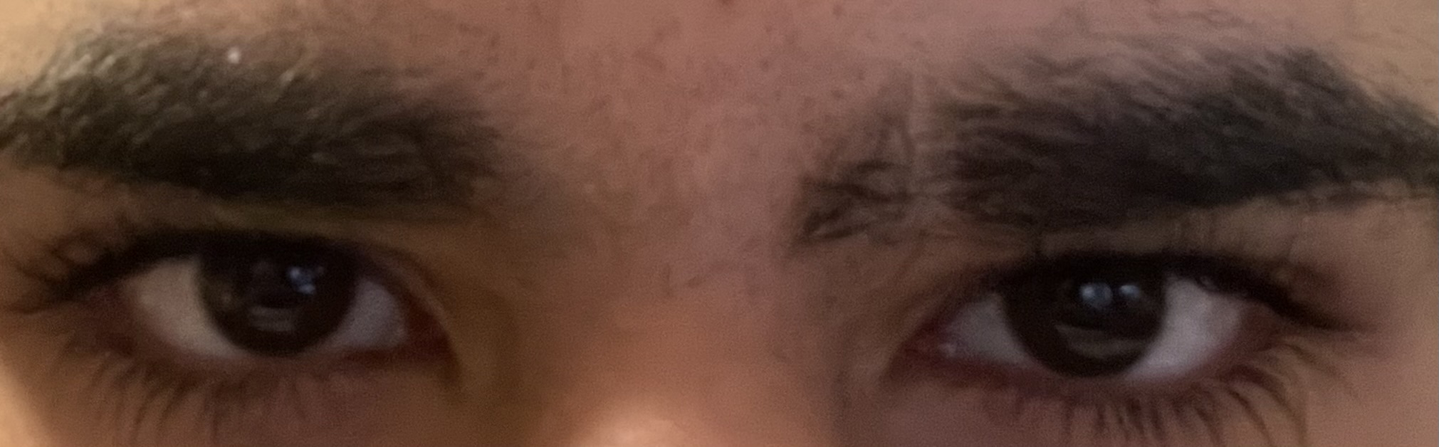 4018415 IMG 2089