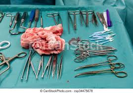 Images   2024 03 23T200054966