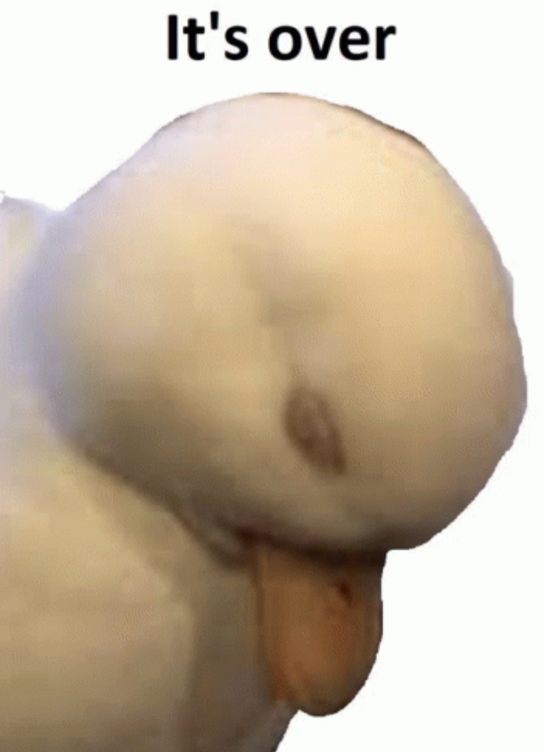 1711410342433903