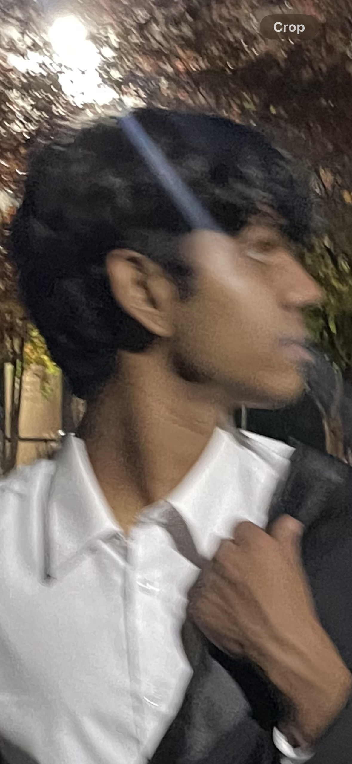 IMG 0897