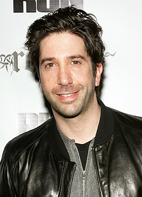 1251225920 david schwimmer 290x402