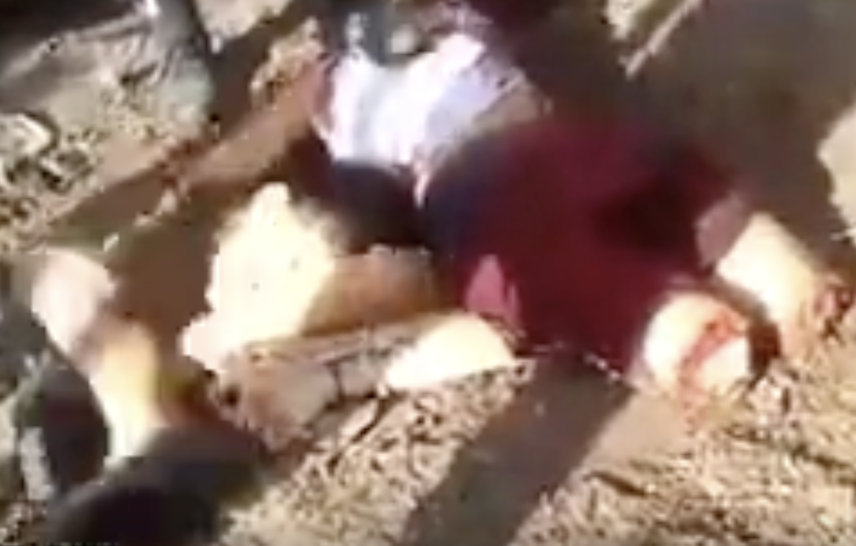 Screenshot 2024 03 28 at 121154PM