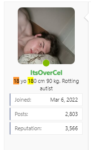 1711780208527