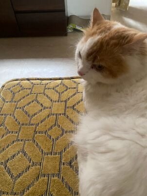 IMG_1070.jpeg