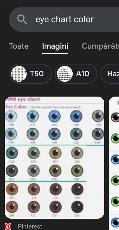 Screenshot 20240321 140428 Chrome