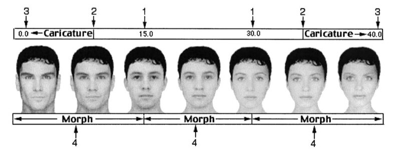 IMG 0580