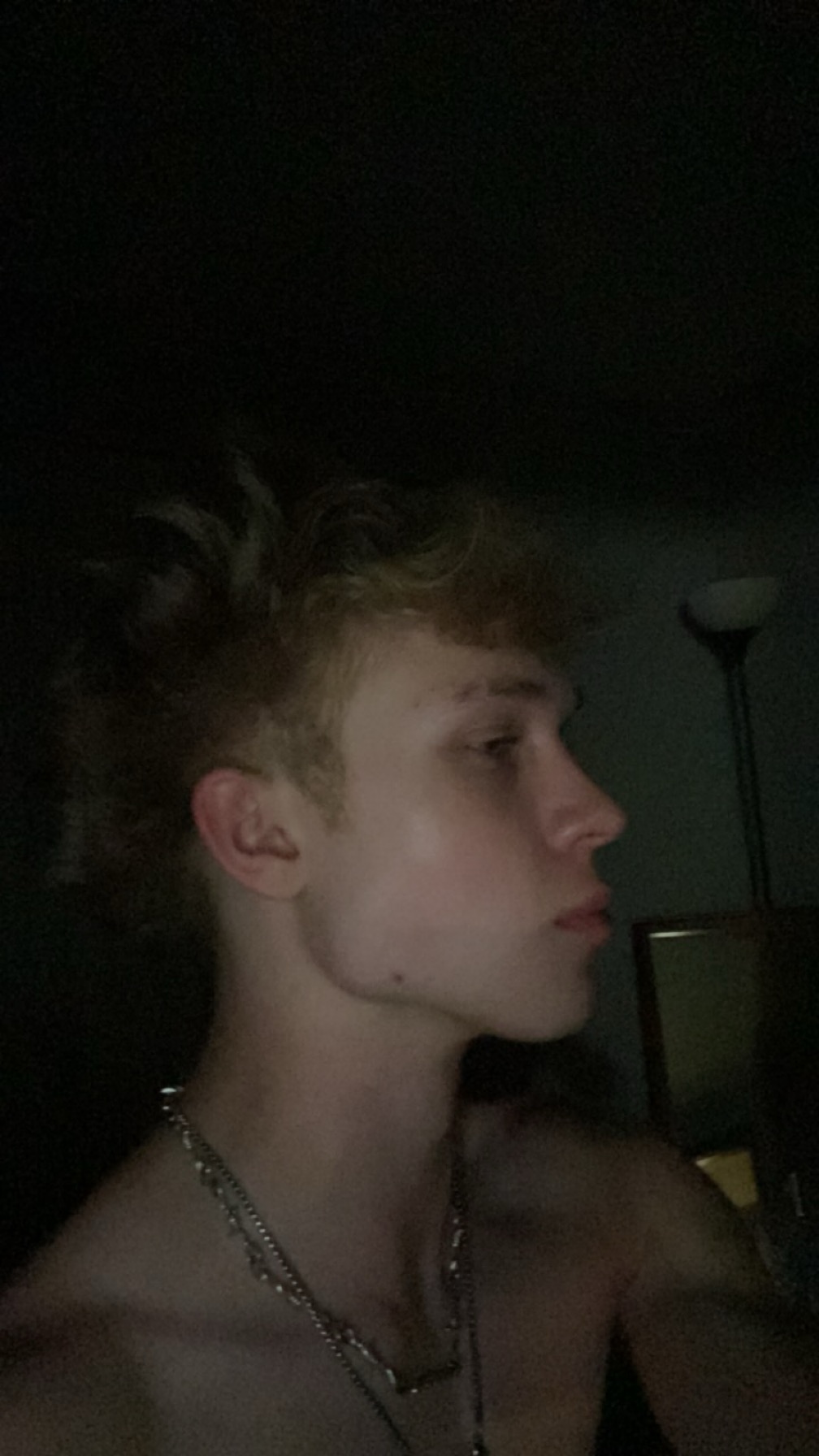 IMG 1181