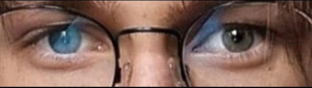 Screenshot 20240413 012846 Gallery Screenshot 20240413 012846 Gallery