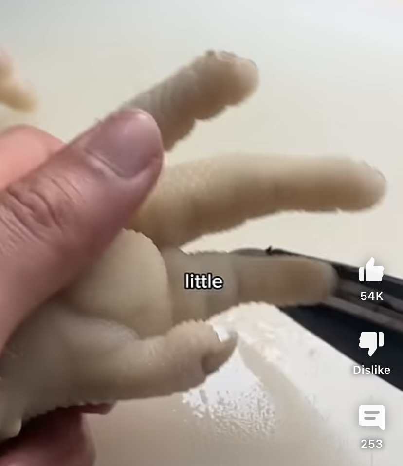 5A047369 4CE0 46FD BF5E 8A0F1DE04F3A