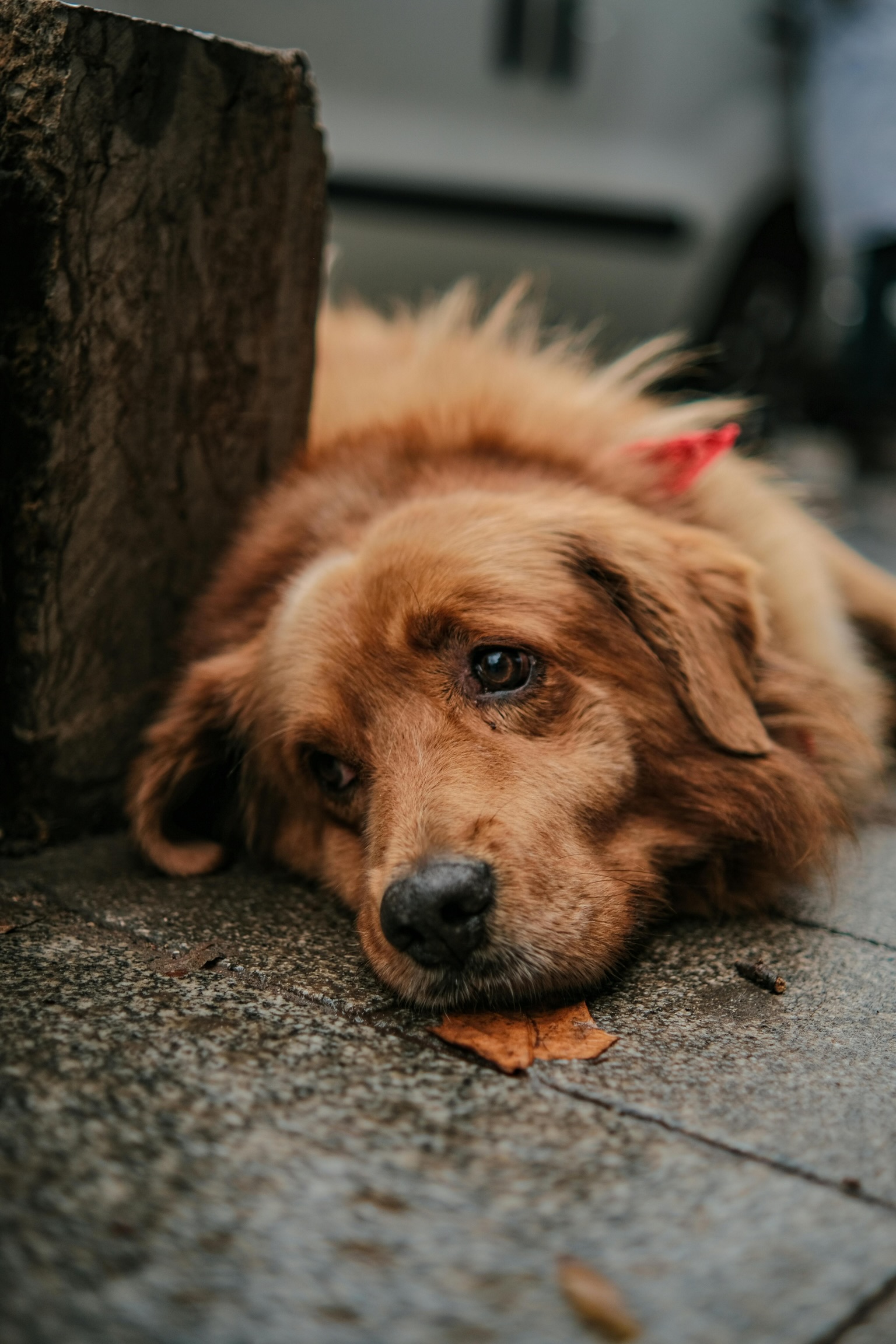 89F40F2B A5FC 40DE 8410 E64ADE4AF32C