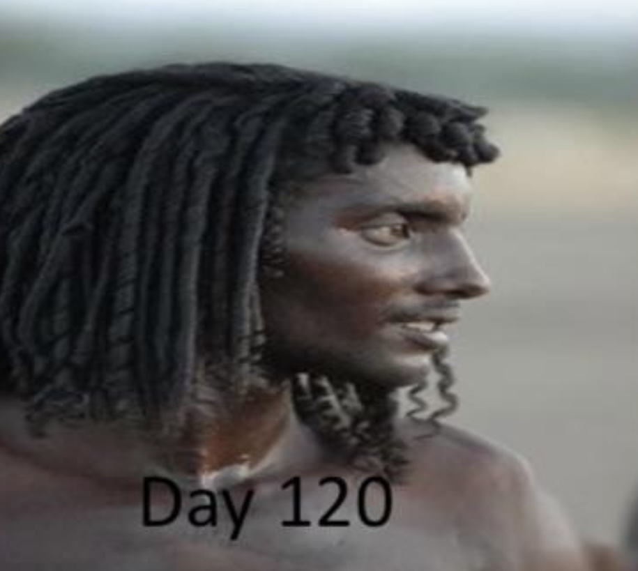 IMG 7797