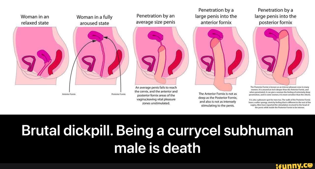 5893584d4ae8a6c3e4ecfb17fc318607d9f54ff322770bb8623a290109d5a86b 1