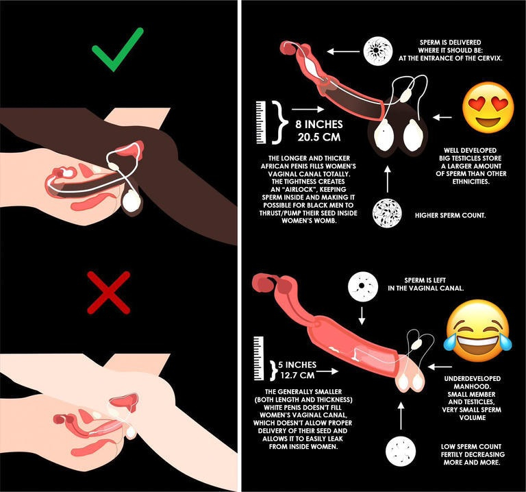 Comment 1629638911yeksSWqXV3iTt4xea1ie6o