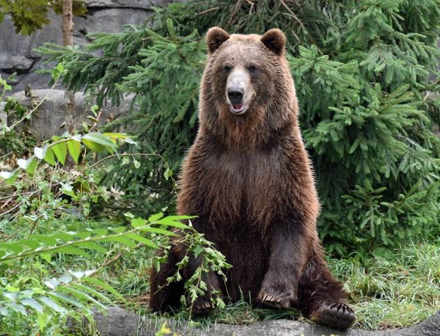 Images   2024 05 05T175716062