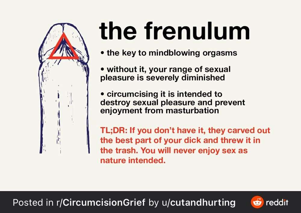 3661696 2240932 D225AAB7 F6A9 40FA 95B6 EC1DBB2E4804