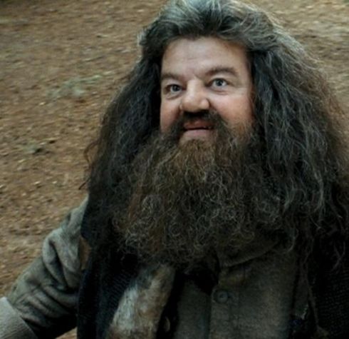 8048A01A 0A04 4420 A36E C4756164A6F2